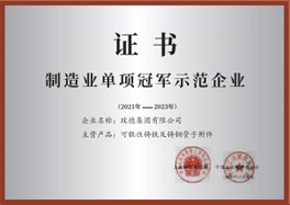 造作业单项冠军示范企业